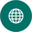 The web icon