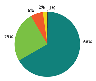 pie chart of operating revenues
