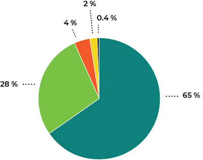 pie chart of operating revenues