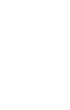 icon of flag