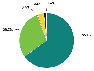 Pie chart of operating revenues