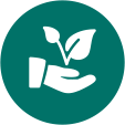 Hand holding small plant icon