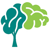 After Stroke Program brain tree