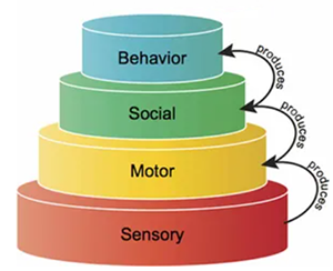 Differently coloured cake layers starting with a base of "Sensory" with "Motor", "Social", and "Behaviour" stacked above